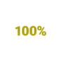 Icon mit der Aufschrift 100%.