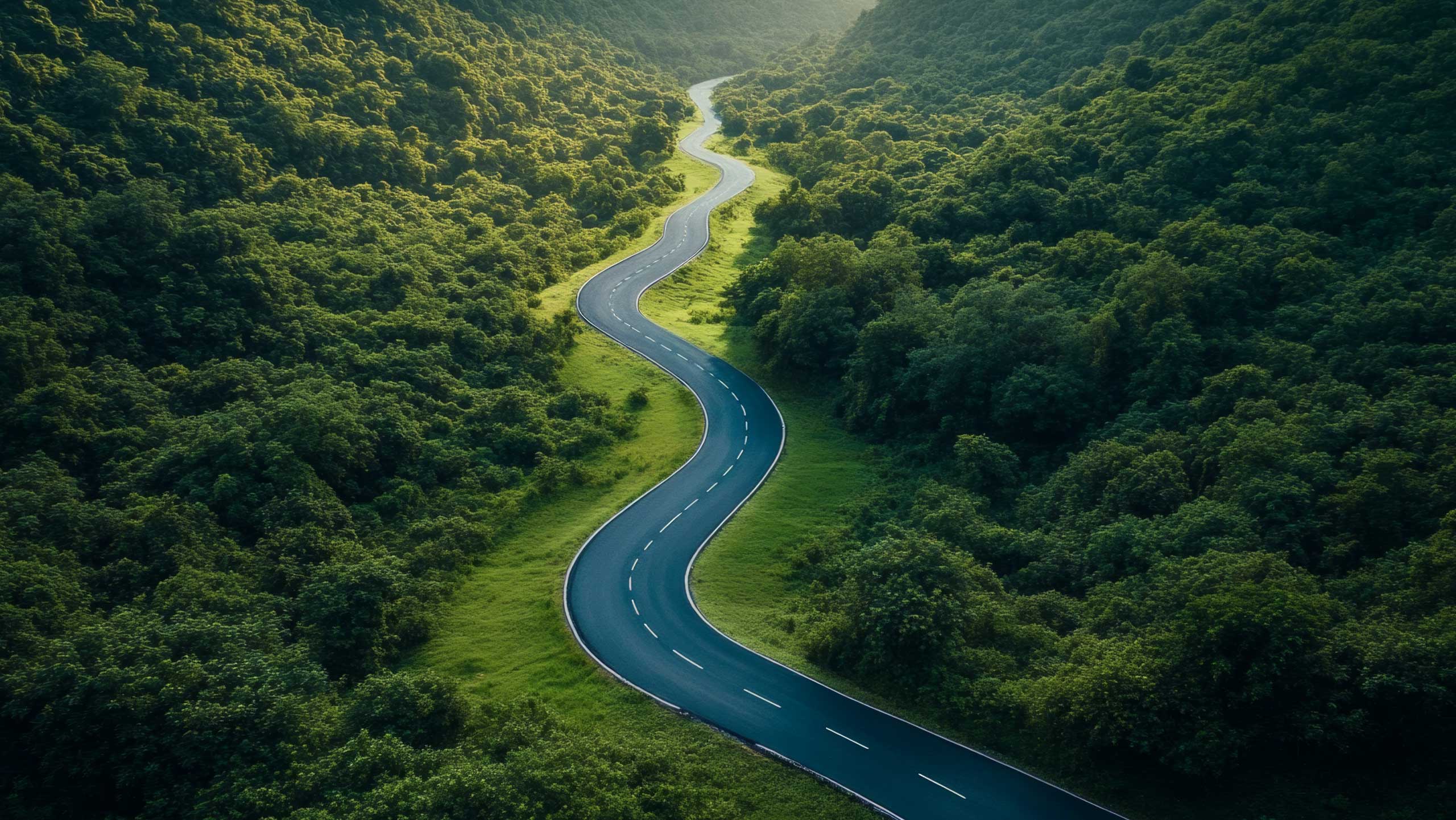 Kurvige Straße durch dichten, grünen Wald