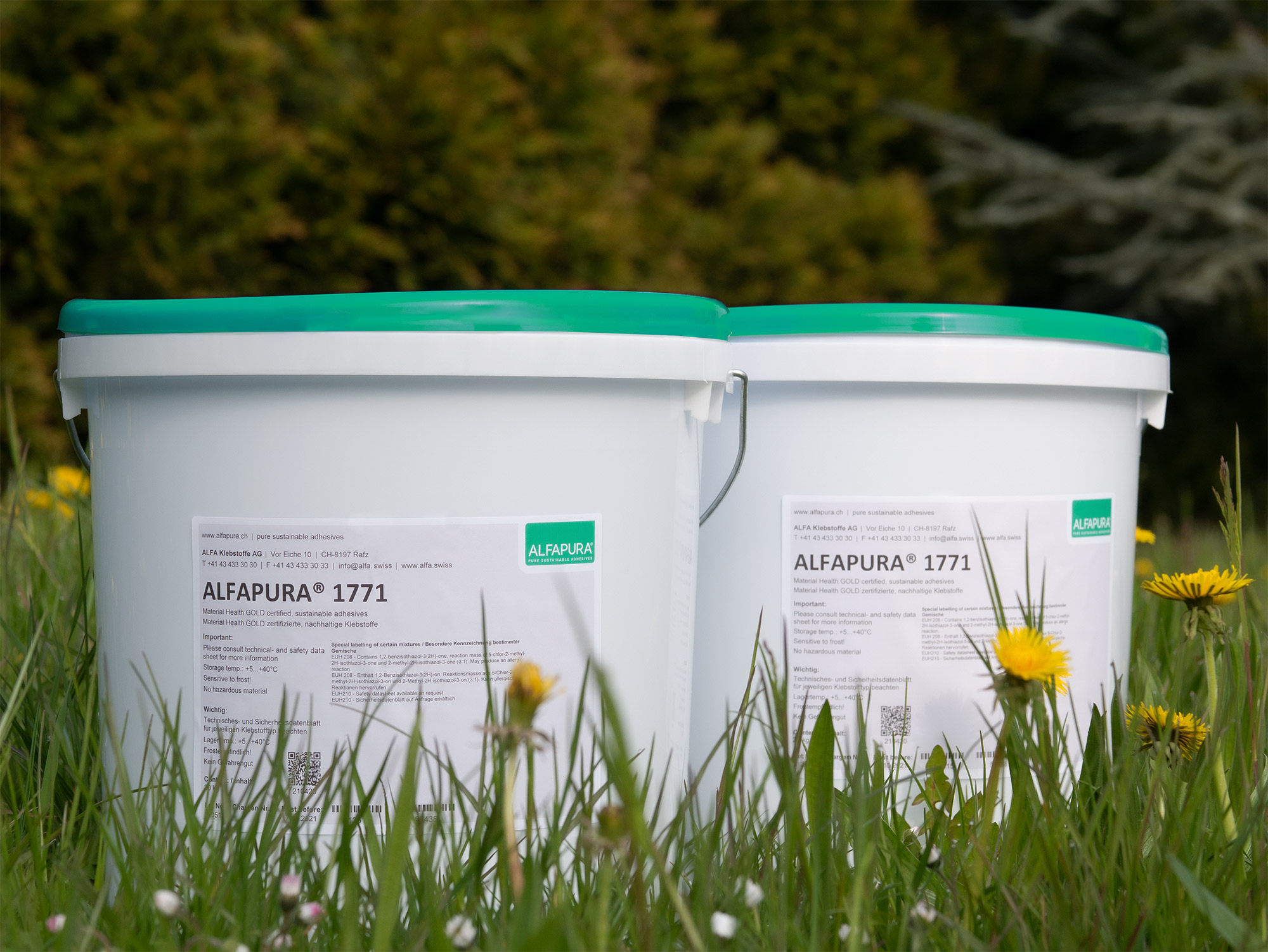 ALFA Klebstoffe AG gewinnt ZKB Innovation Award 2 Zwei Eimer der ALFAPURA® 1771 Klebstoffe stehen auf einer Wiese.
